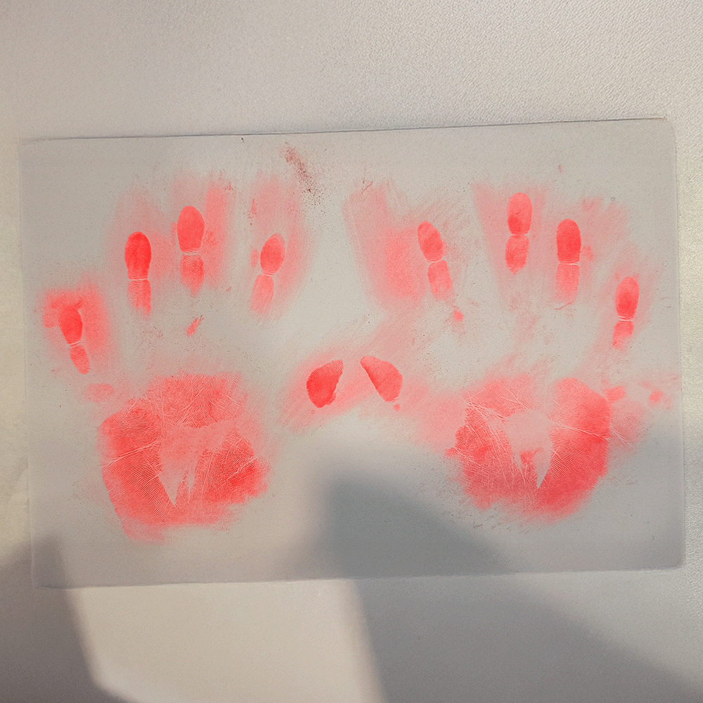 Hyybridspectral Palmprint