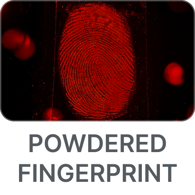 fingerprint