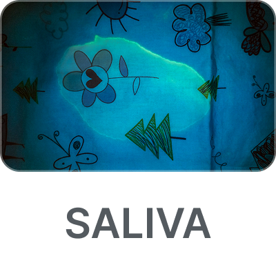 saliva