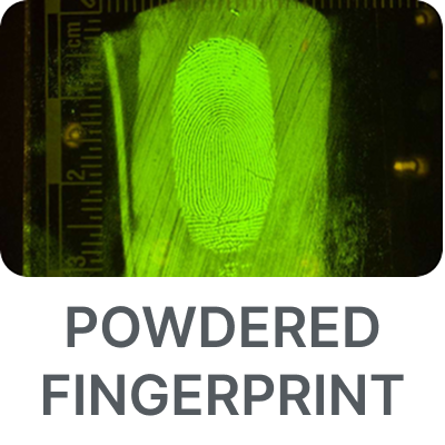 fingerprint-app