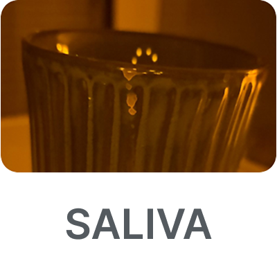 saliva-app