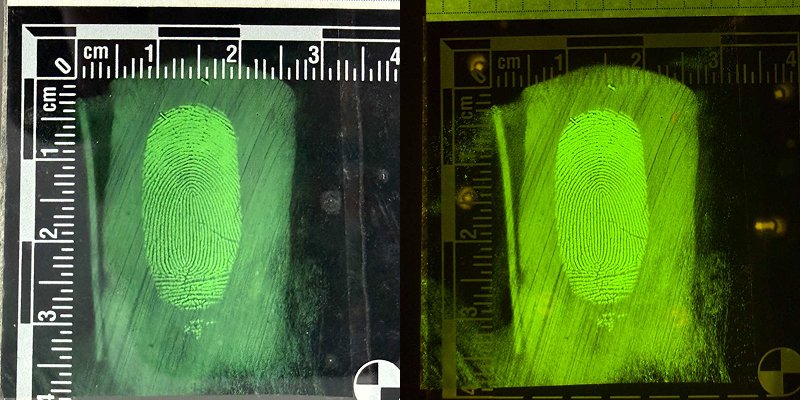 powdered fingerprint application