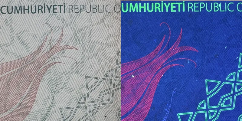 Reflection on Security-Patterned, Micro-textured ID Card Page
