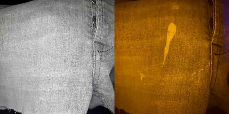 Semen detect on fabric with HyybridSpectral